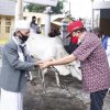 Hari Raya Idul Adha 1441 H 2020 Bupati “ROR” Serahkan Hewan Qurban Bagi Umat Muslim di Minahasa