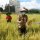 Pemkab Minahasa Apresiasi Pemrov Sulut Peduli Dengan Pertanian di Minahasa