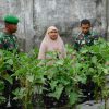 Serda Haryono : Manfaatkan Lahan Tidur Komoditi Unggulan Adalah Cabe Dan Terong.