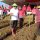 Bupati Roring Dampingi Gubernur OD Dalam Acara Gerakan Percepatan Olah Tanah di Minahasa