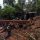 Tengker : Dugaan Ilegal Loging di Ratatotok Sudah Masuk Dalam Penyelidikan