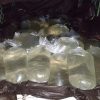 Aksi Penyelundupan 1000 Liter Miras CapTikus digagalkan Satres Narkoba Polres Minsel